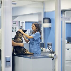 Plan Perro (5 animales)